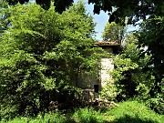 53 Ol Ruculu immerso nel verde